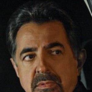 Foto Joe Mantegna