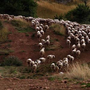 Foto Dominique Marchais