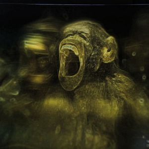 Foto Jean-Teddy Filippe