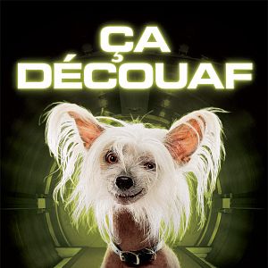 Foto Como perros y gatos: La revancha de Kitty Galore