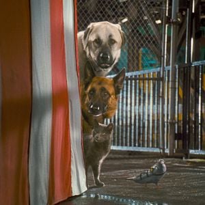 Foto Como perros y gatos: La revancha de Kitty Galore