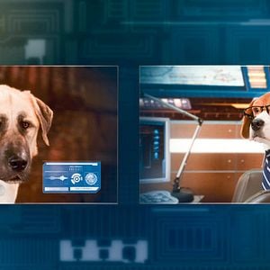 Foto Como perros y gatos: La revancha de Kitty Galore