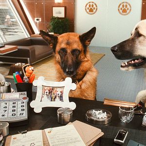 Foto Como perros y gatos: La revancha de Kitty Galore