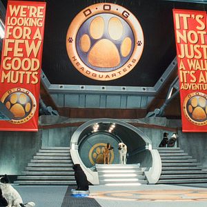 Foto Como perros y gatos: La revancha de Kitty Galore