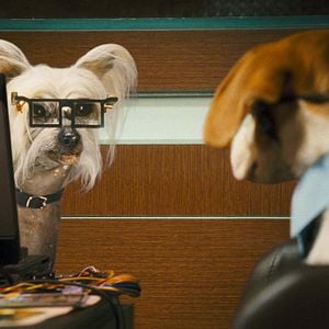 Foto Como perros y gatos: La revancha de Kitty Galore