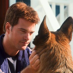 Foto Como perros y gatos: La revancha de Kitty Galore