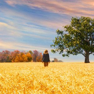 Foto The Lovely Bones