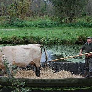 Foto Alexandre Messina