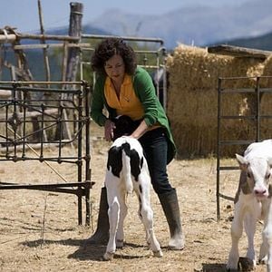 Foto Que se mueran los feos