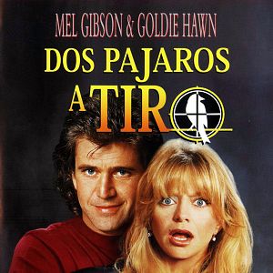 Foto Dos pájaros a tiro