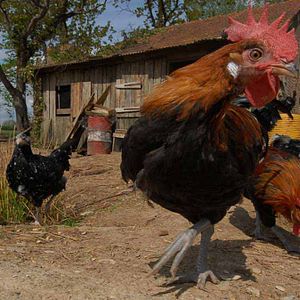 Foto Frédéric Goupil