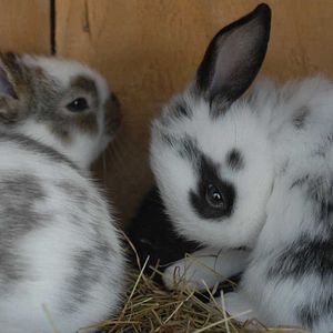 Foto Frédéric Goupil