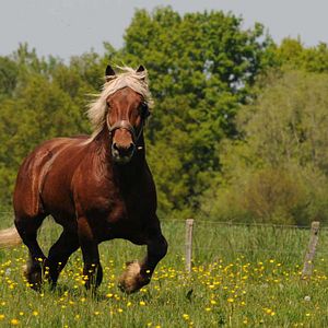 Foto Frédéric Goupil
