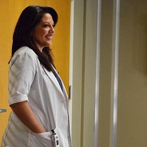 Foto Anatomía de Grey