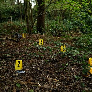 Foto Christine Molloy