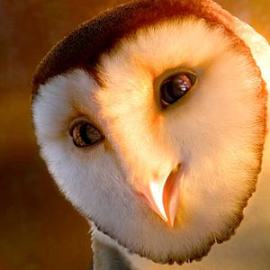 Foto Ga'Hoole. La leyenda de los guardianes