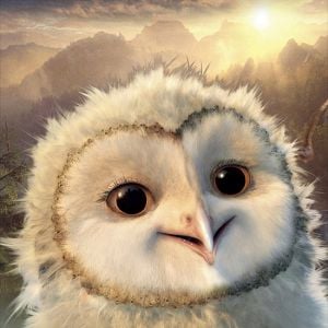 Foto Ga'Hoole. La leyenda de los guardianes