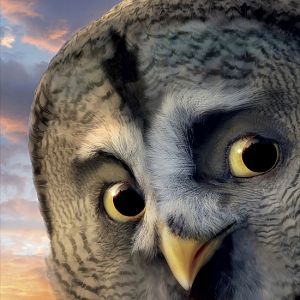 Foto Ga'Hoole. La leyenda de los guardianes