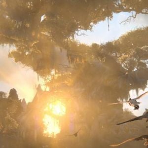 Foto Ga'Hoole. La leyenda de los guardianes