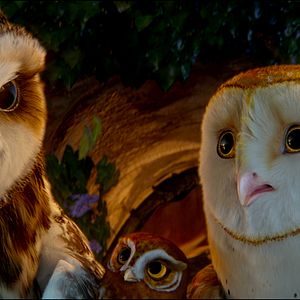 Foto Ga'Hoole. La leyenda de los guardianes