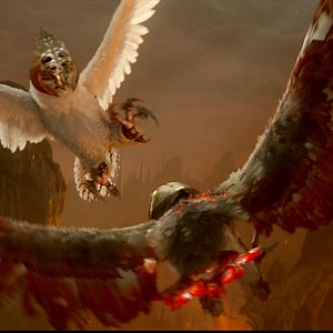 Foto Ga'Hoole. La leyenda de los guardianes