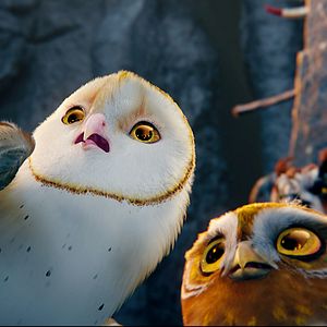 Foto Ga'Hoole. La leyenda de los guardianes