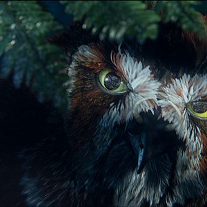 Foto Ga'Hoole. La leyenda de los guardianes