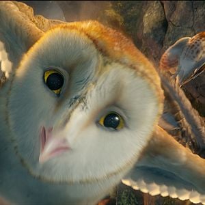 Foto Ga'Hoole. La leyenda de los guardianes