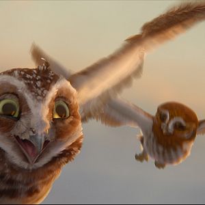 Foto Ga'Hoole. La leyenda de los guardianes