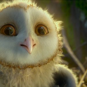 Foto Ga'Hoole. La leyenda de los guardianes