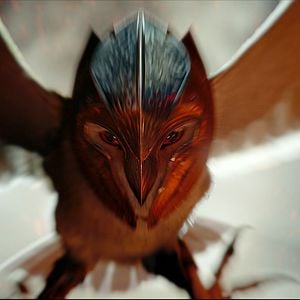 Foto Ga'Hoole. La leyenda de los guardianes