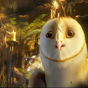 Foto Ga'Hoole. La leyenda de los guardianes