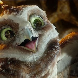 Foto Ga'Hoole. La leyenda de los guardianes