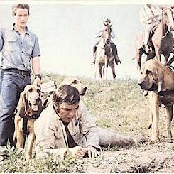 Foto Los traficantes