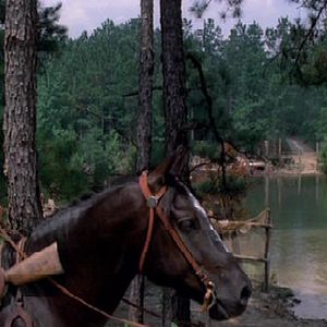 Foto Mi nombre es ninguno