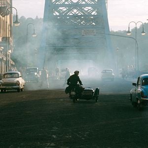Foto La Cacatúa roja