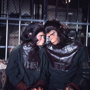 Foto Huida del planeta de los simios