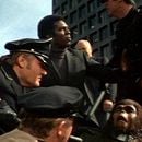 Foto La rebelión de los simios