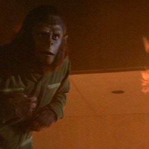 Foto La rebelión de los simios