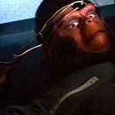 Foto La rebelión de los simios