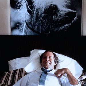 Foto Fletch, el camaleón