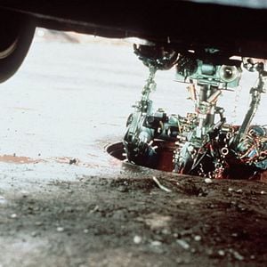 Foto Cortocircuito 2