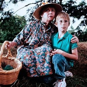 Foto La maldición de las brujas