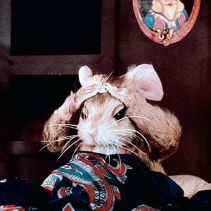 Foto La maldición de las brujas