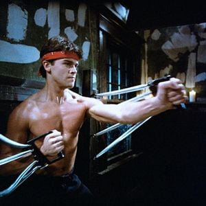 Foto Retroceder nunca, rendirse jamás