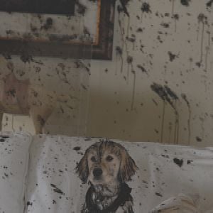 Foto Space Buddies: Cachorros en el espacio