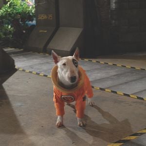 Foto Space Buddies: Cachorros en el espacio