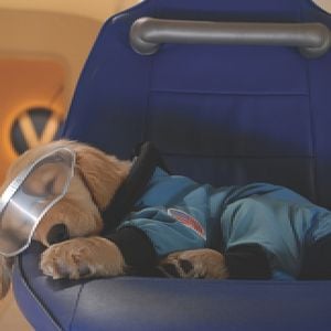 Foto Space Buddies: Cachorros en el espacio