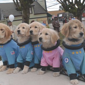 Foto Space Buddies: Cachorros en el espacio