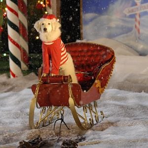 Foto Navidad con los Buddies: En busca de Santa Can